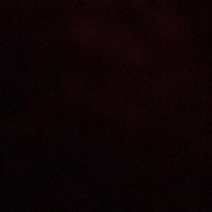 Meet your Posher, Latricia mcdaniel